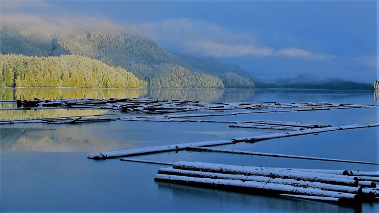 Holberg Inlet, BC (2) - March 2006- bruce witzel photo